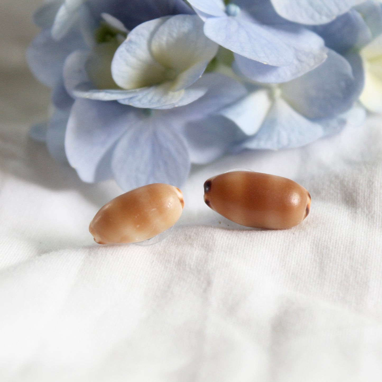 Isabella Cowrie Studs