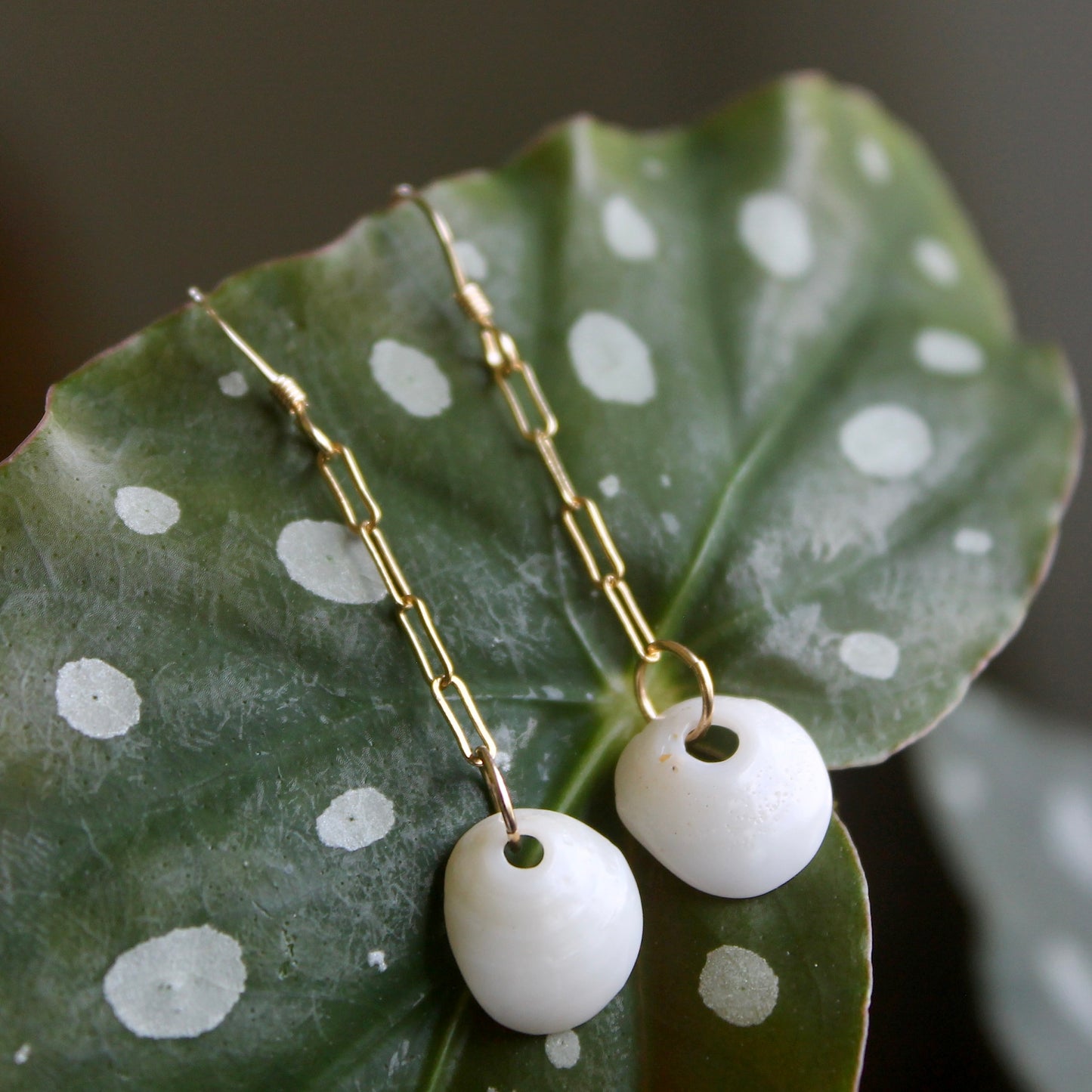 Puka Shell Earrings