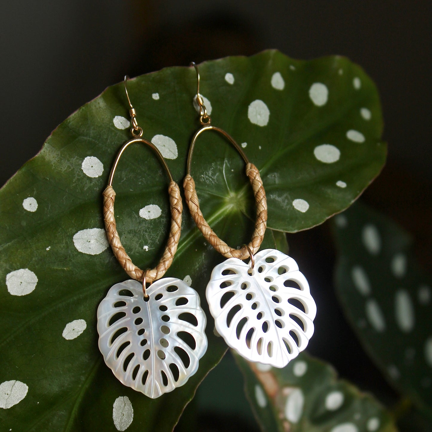 Lauhala Mother Of Pearl Monstera Oval Hoops