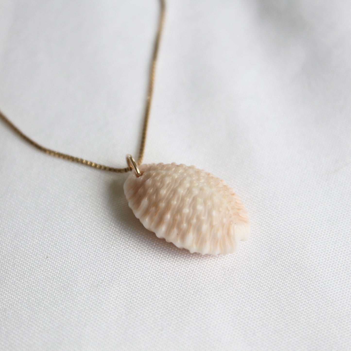 Kaua’i Cowrie Necklace