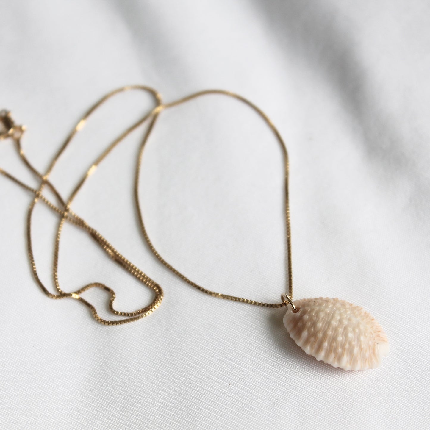 Kaua’i Cowrie Necklace